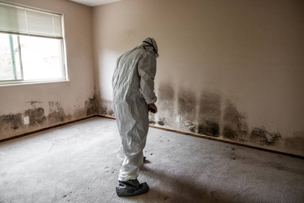 Best Mold Testing  in Fond Du Lac, WI